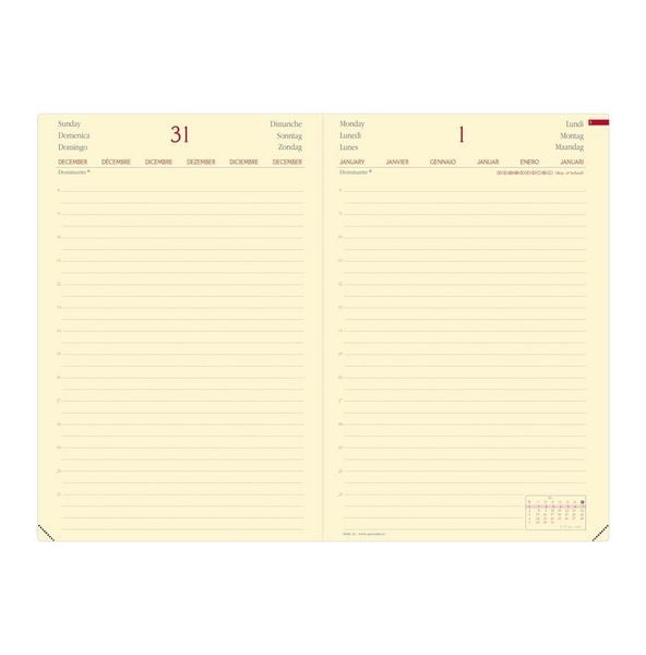 Produktbild: Daily 24 Brand Anthrazit 2027