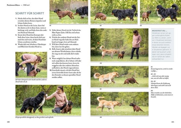 Produktbild: Hunde f&uuml;hlen und anleiten