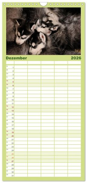 Produktbild: Familienplaner 2026 - Husky Welpen mit 5 Spalten (Wandkalender, 21 x 45 cm) CALVENDO