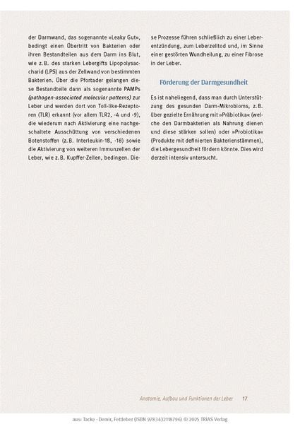 Expertenwissen: Fettleber