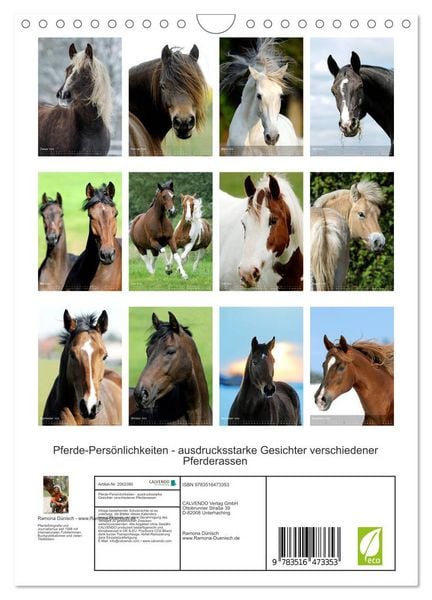 Produktbild: Pferde-Pers&ouml;nlichkeiten - ausdrucksstarke Gesichter verschiedener Pferderassen (Wandkalender 2026 DIN A4 hoch), CALVENDO Monatskalender