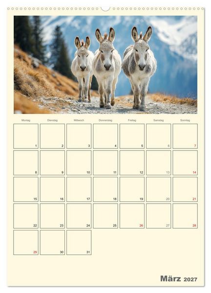 Produktbild: Eselmomente. Natur, Freiheit und Charakter (Wandkalender 2027 DIN A2 hoch), CALVENDO Monatskalender