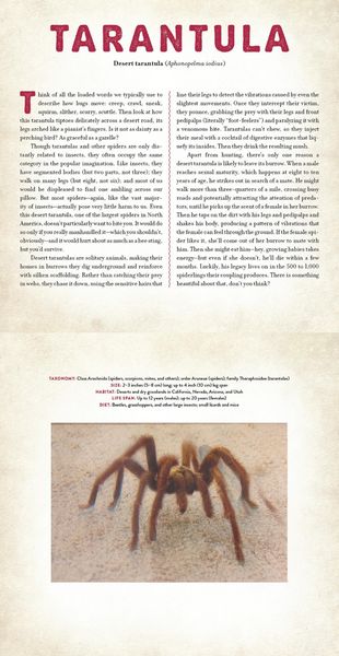 Produktbild: Bugs