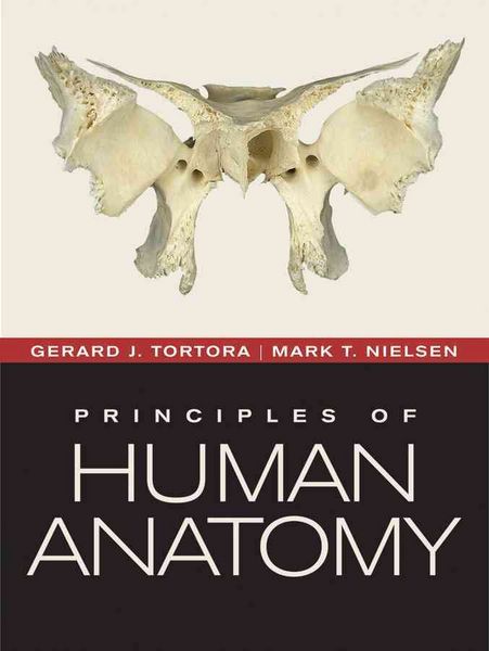 Produktbild: Principles of Human Anatomy