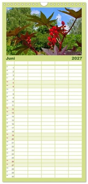 Produktbild: Familienplaner 2027 - Arzneipflanzen mit 5 Spalten (Wandkalender, 21 x 45 cm) CALVENDO