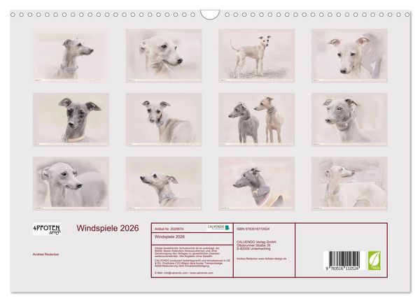 Produktbild: Windspiele 2026 (Wandkalender 2026 DIN A3 quer), CALVENDO Monatskalender