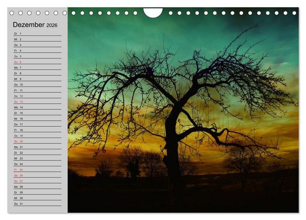 Produktbild: Magische B&auml;ume (Wandkalender 2026 DIN A4 quer), CALVENDO Monatskalender