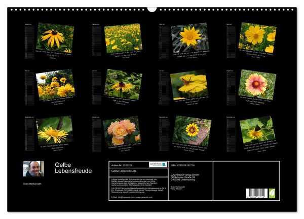 Produktbild: Gelbe Lebensfreude (Wandkalender 2026 DIN A2 quer), CALVENDO Monatskalender