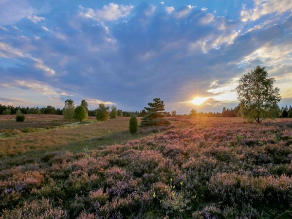 Produktbild: Sonnenuntergang im B&uuml;senbachtal bei Handeloh (Puzzle)