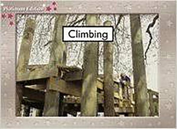 Produktbild: Climbing: Leveled Reader Bookroom Package Magenta (Levels 1-2)