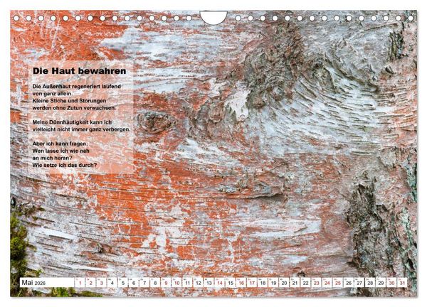 Produktbild: Stehen wie ein Baum (Wandkalender 2026 DIN A4 quer), CALVENDO Monatskalender