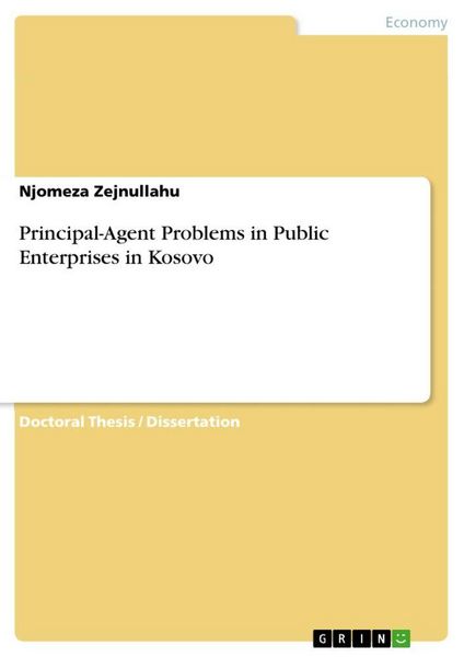 Produktbild: Principal-Agent Problems in Public Enterprises in Kosovo