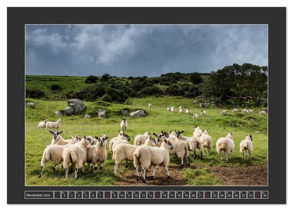 Produktbild: IRLAND - Insel der gl&uuml;cklichen Schafe (hochwertiger Premium Wandkalender 2026 DIN A2 quer), Kunstdruck in Hochglanz