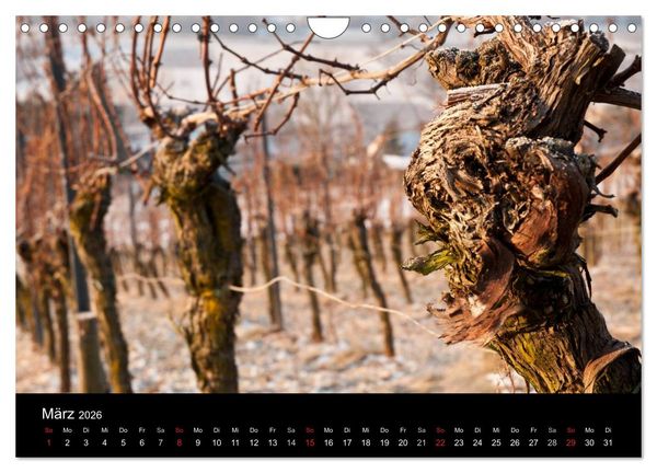Produktbild: Weinberge im Remstal (Wandkalender 2026 DIN A4 quer), CALVENDO Monatskalender
