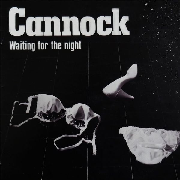 Produktbild: Waiting For The Night, 1 Schallplatte