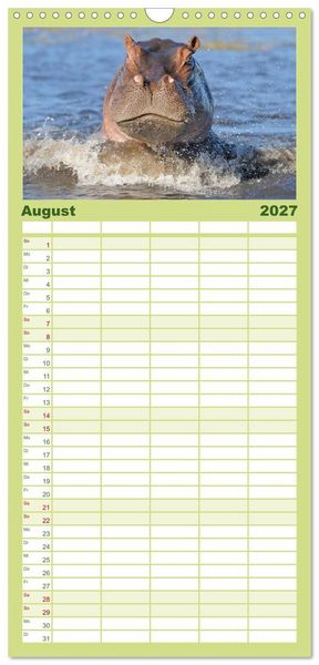 Produktbild: Familienplaner 2027 - Flusspferde Magie des Augenblicks - Hippos in Afrika mit 5 Spalten (Wandkalender, 21 x 45 cm) CALVENDO
