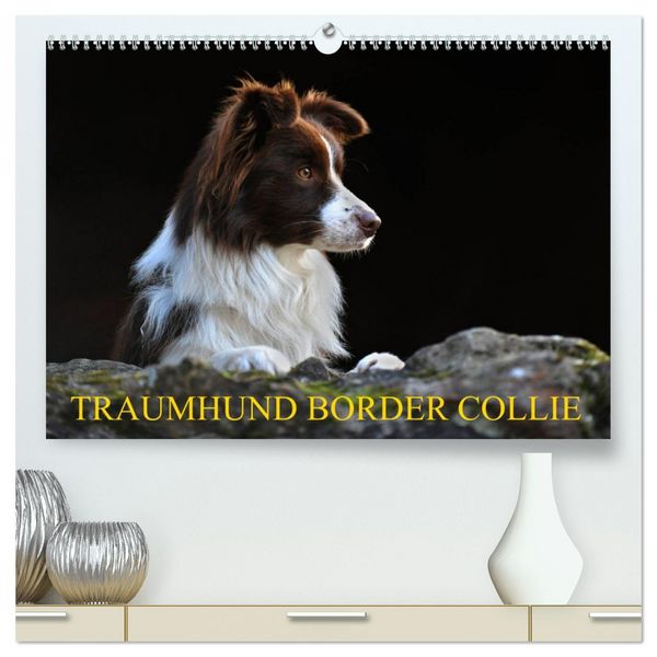 Produktbild: Traumhund Border Collie (hochwertiger Premium Wandkalender 2026 DIN A2 quer), Kunstdruck in Hochglanz