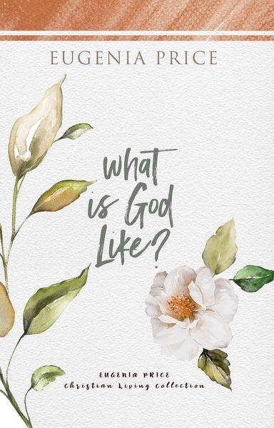 Produktbild: What is God Like?