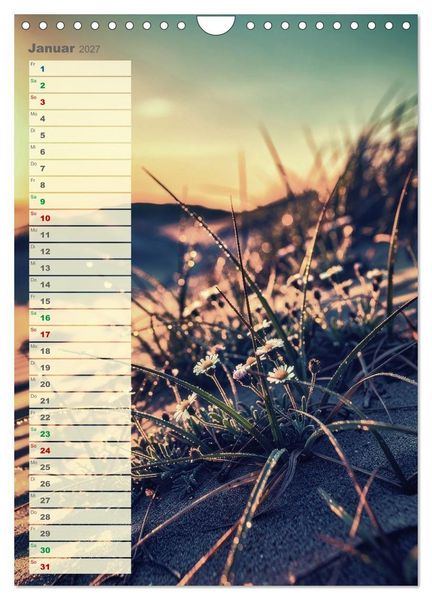 Produktbild: D&uuml;nen und Buhnen (Wandkalender 2027 DIN A4 hoch), CALVENDO Monatskalender
