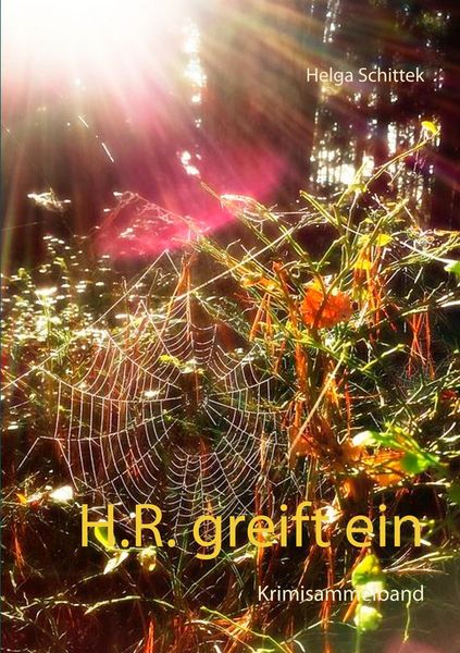 Produktbild: H.R. greift ein