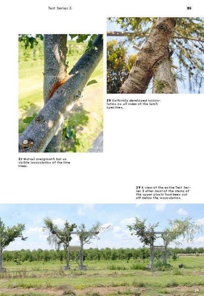 Produktbild: Growing Architecture