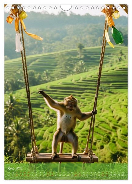 Produktbild: Bali - affengeil (Wandkalender 2026 DIN A4 hoch), CALVENDO Monatskalender