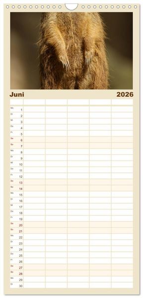 Produktbild: Familienplaner 2026 - Erdm&auml;nnchen: Zusammen sind wir stark mit 5 Spalten (Wandkalender, 21 x 45 cm) CALVENDO
