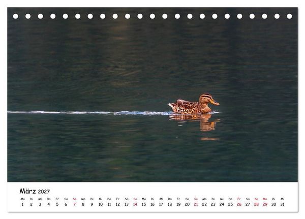 Produktbild: Wanderbarer Wei&szlig;ensee (Tischkalender 2027 DIN A5 quer), CALVENDO Monatskalender