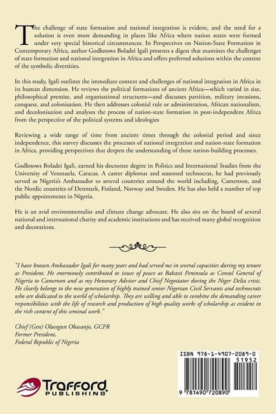 Produktbild: Perspectives on Nation-State Formation in Contemporary Africa