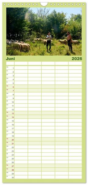 Produktbild: Familienplaner 2026 - Streifz&uuml;ge durch die Walachei mit 5 Spalten (Wandkalender, 21 x 45 cm) CALVENDO