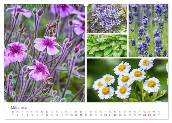 Produktbild: Ein Garten, der zum Verweilen einl&auml;dt (Wandkalender 2026 DIN A2 quer), CALVENDO Monatskalender
