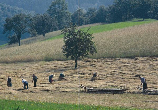 Produktbild: Echte Bauern retten die Welt!