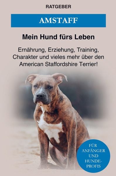 Produktbild: American Staffordshire Terrier