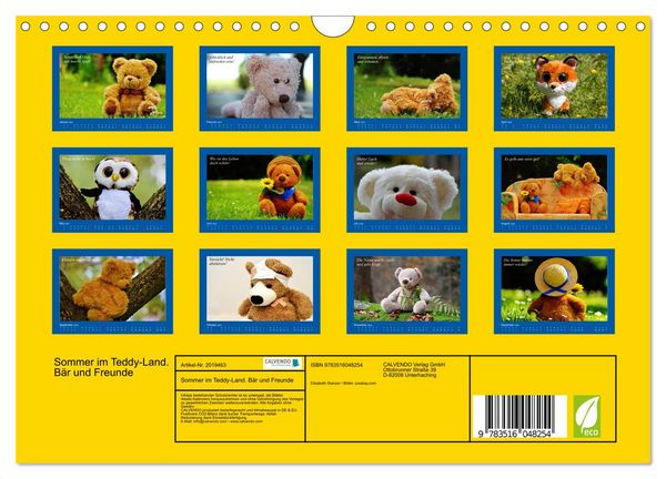 Produktbild: Sommer im Teddy-Land. B&auml;r und Freunde (Wandkalender 2026 DIN A4 quer), CALVENDO Monatskalender