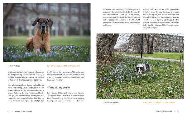 Produktbild: Hunde fotografieren - Kreative Bilder mit "Wau-Effekt"