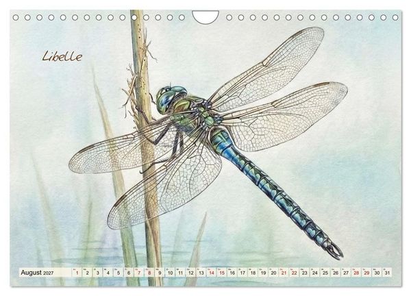 Produktbild: Kleine Wunder in Aquarell - Heimische Insekten kunstvoll illustriert (Wandkalender 2027 DIN A4 quer), CALVENDO Monatskalender