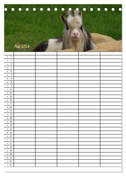 Produktbild: Bauernhoftiere Familienplaner (Tischkalender 2026 DIN A5 hoch), CALVENDO Monatskalender