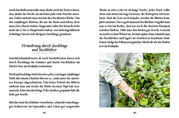 Produktbild: Das gro&szlig;e kleine Buch: Mein Naschgarten