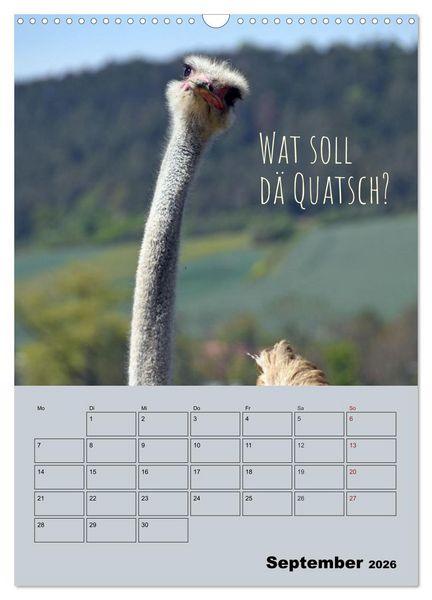 Produktbild: K&ouml;lsches Grundgesetz (Wandkalender 2026 DIN A3 hoch), CALVENDO Monatskalender