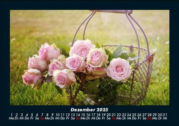 Produktbild: Rosentraum 2025 Fotokalender DIN A5