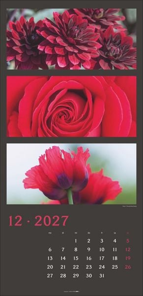Produktbild: Die Farben der Natur Kalender 2027