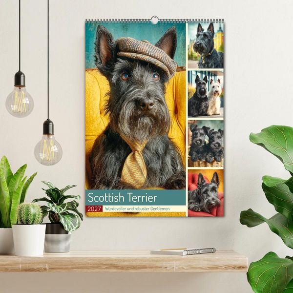 Produktbild: Scottish Terrier. W&uuml;rdevoller und robuster Gentlemen (Wandkalender 2027 DIN A2 hoch), CALVENDO Monatskalender