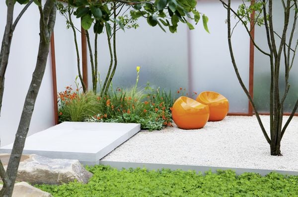 Produktbild: Junges Gartendesign