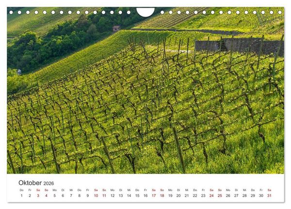 Produktbild: Franken - Malerische Orte und Landschaften (Wandkalender 2026 DIN A4 quer), CALVENDO Monatskalender