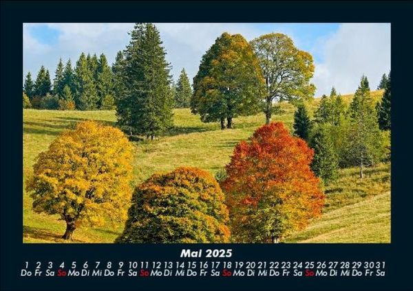 Produktbild: B&auml;ume 2025 Fotokalender DIN A5