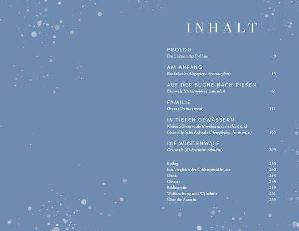 Produktbild: Die Reise der Wale