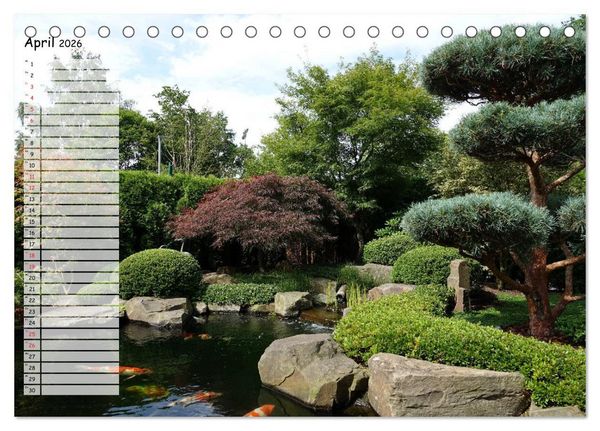 Produktbild: Koikichi Kalender 2026 (Tischkalender 2026 DIN A5 quer), CALVENDO Monatskalender