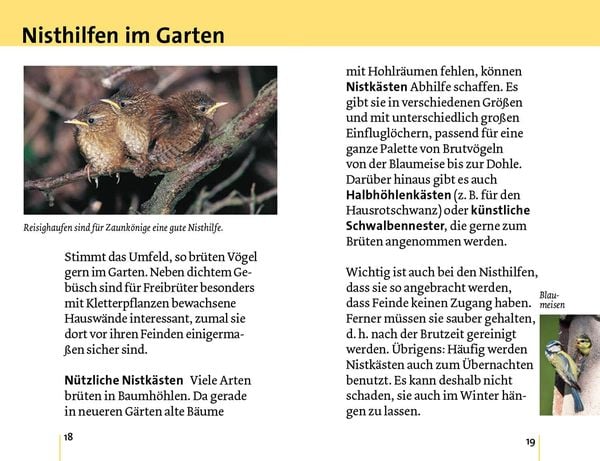 Produktbild: Alle V&ouml;gel sind schon da