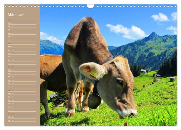 Produktbild: K&uuml;he / Geburtstagskalender (Wandkalender 2026 DIN A3 quer), CALVENDO Monatskalender