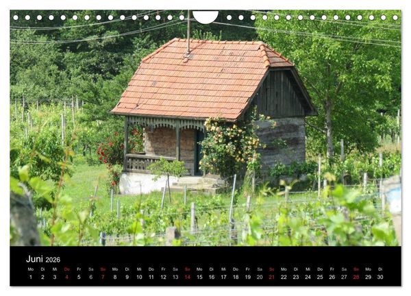 Produktbild: Weinidylle im S&uuml;dburgenland (Wandkalender 2026 DIN A4 quer), CALVENDO Monatskalender